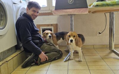 Frodo, unser Romeo der Woche