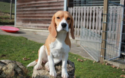 Schlag auf Schlag…